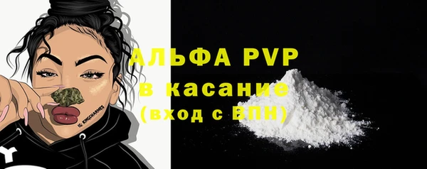 индика Ахтубинск