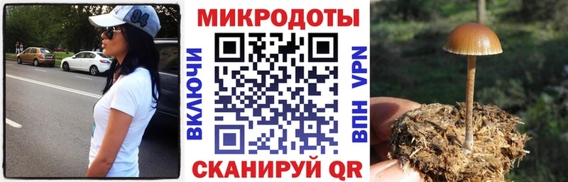Галлюциногенные грибы Psilocybe  цена наркотик  Тогучин 